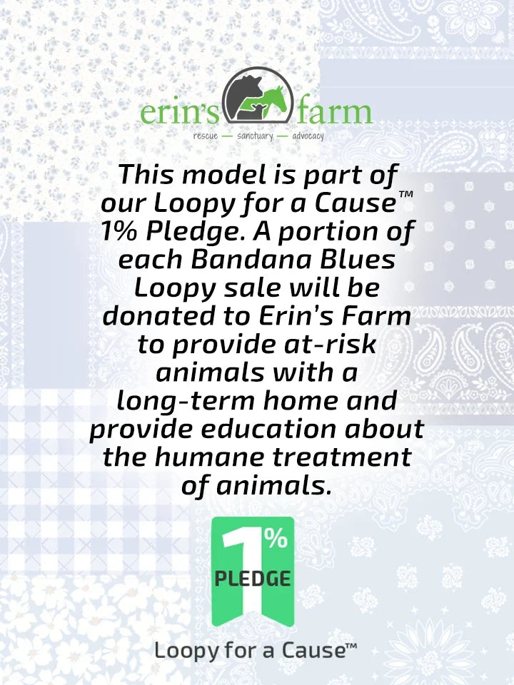 Bandana Blues Secondary image